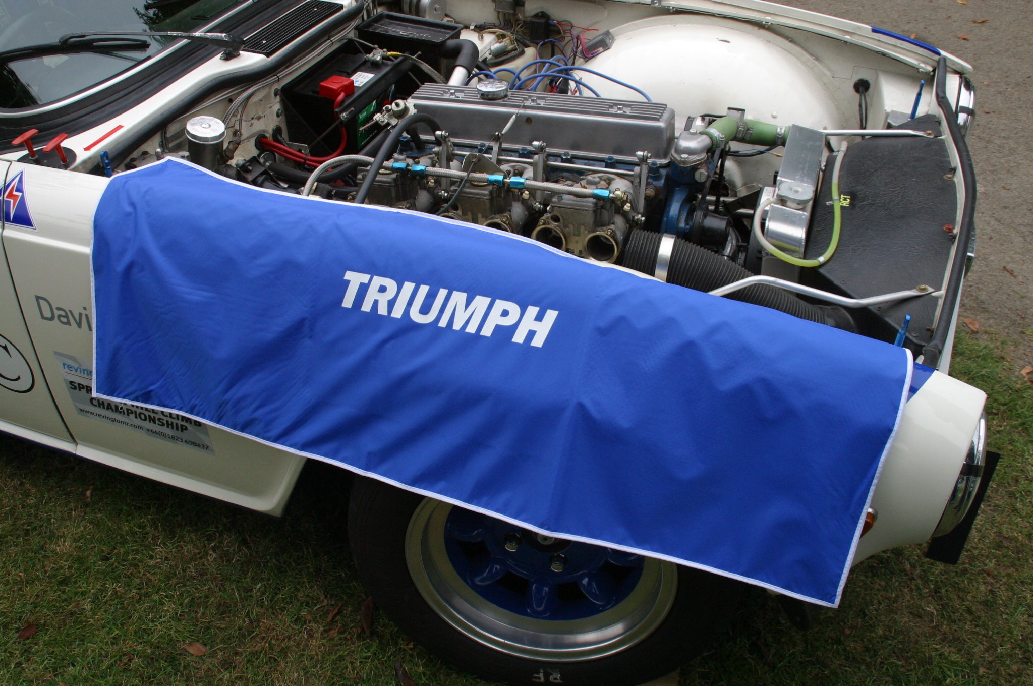 Car Wing Protector (TR REG)