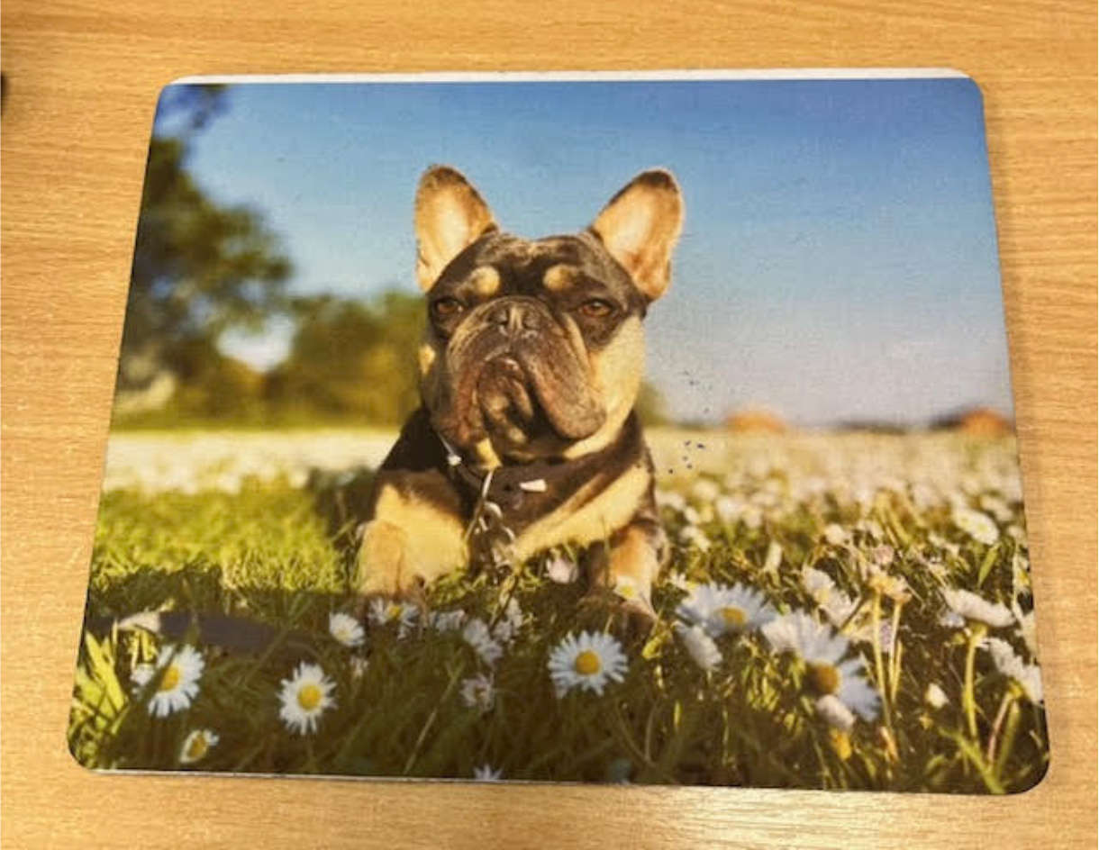 Personalised Mouse Mat (TRDC)