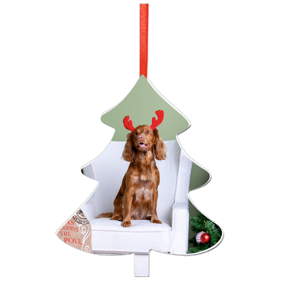 Christmas Hanging Ornament