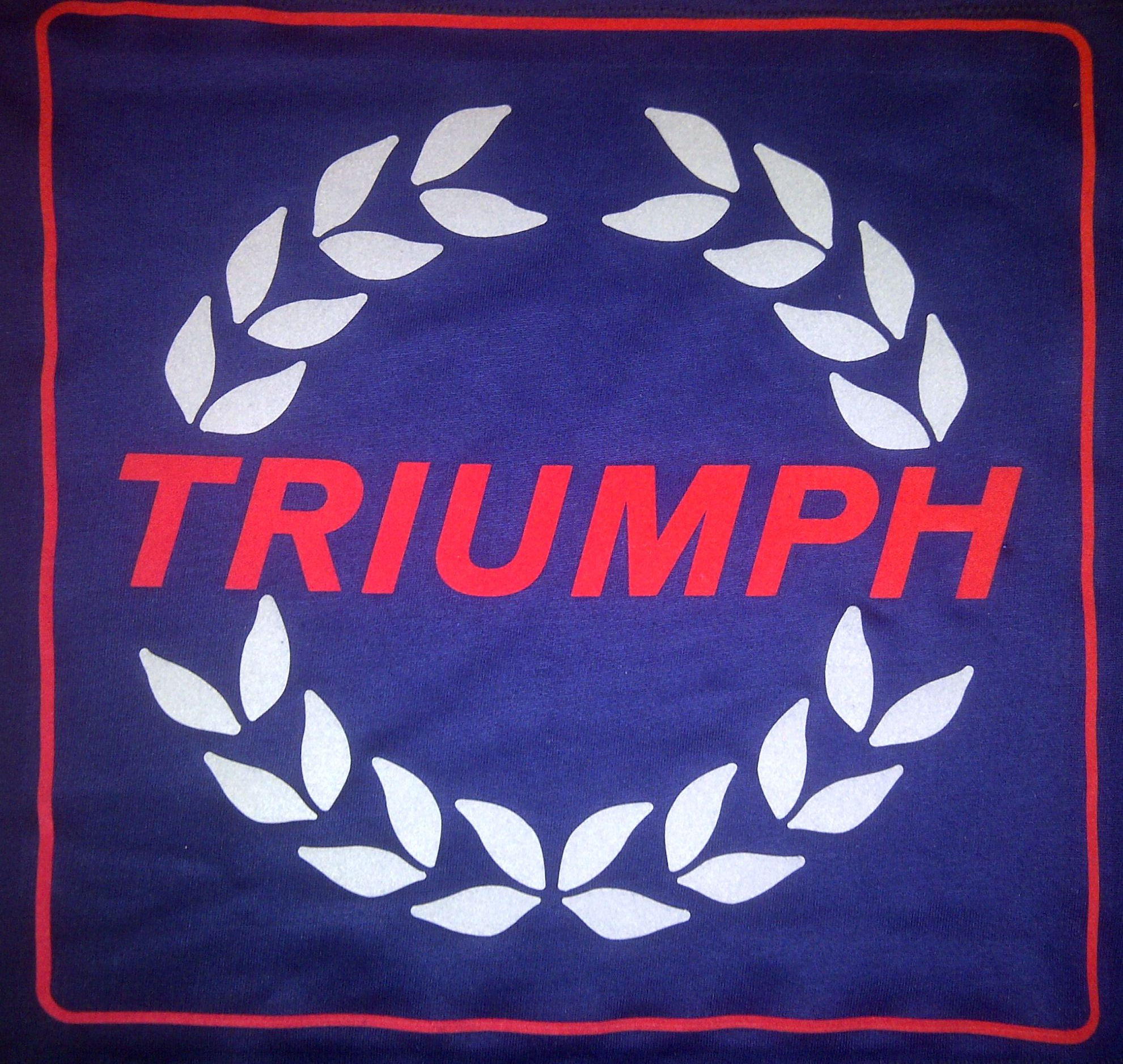 Indoor Supertex Semi Fitted Car Covers (TRDC)